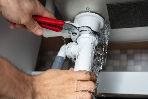Best Water damage contractors near me  in Lake Holiday, IL