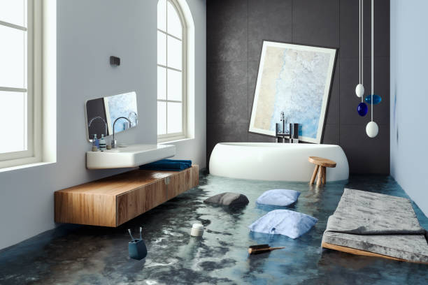 Best Water damage restoration near me  in Lake Holiday, IL