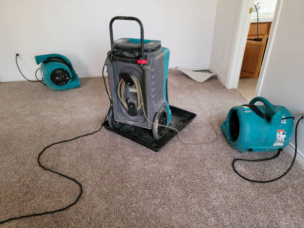 Best Fire Damage Restoration  in Lake Holiday, IL