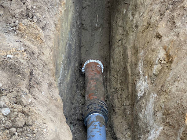 Best Professional water damage repair  in Lake Holiday, IL