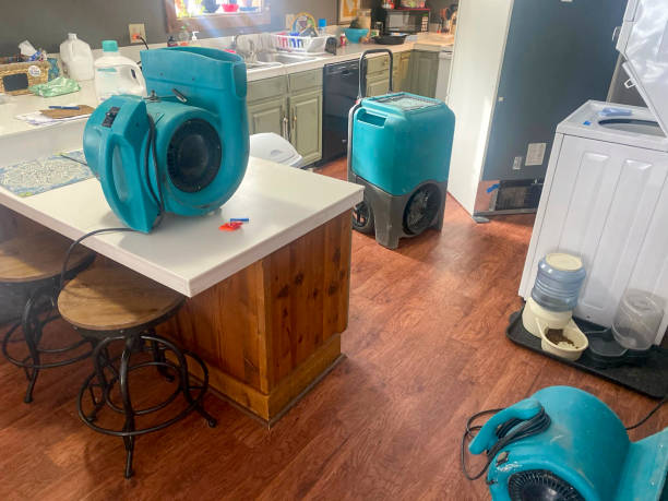 Best Ceiling water damage repair  in Lake Holiday, IL