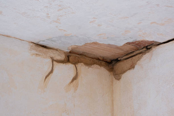 Best Fire Damage Restoration  in Lake Holiday, IL