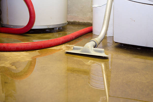  Lake Holiday, IL Water damage restoration Pros
