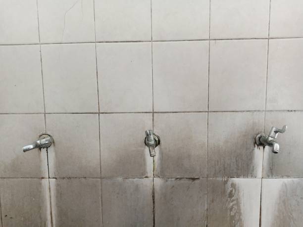 Best Water damage mitigation services  in Lake Holiday, IL