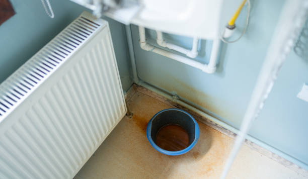 Best 24/7 water damage repair  in Lake Holiday, IL