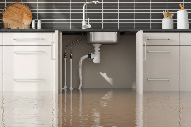 Best Local water damage restoration  in Lake Holiday, IL